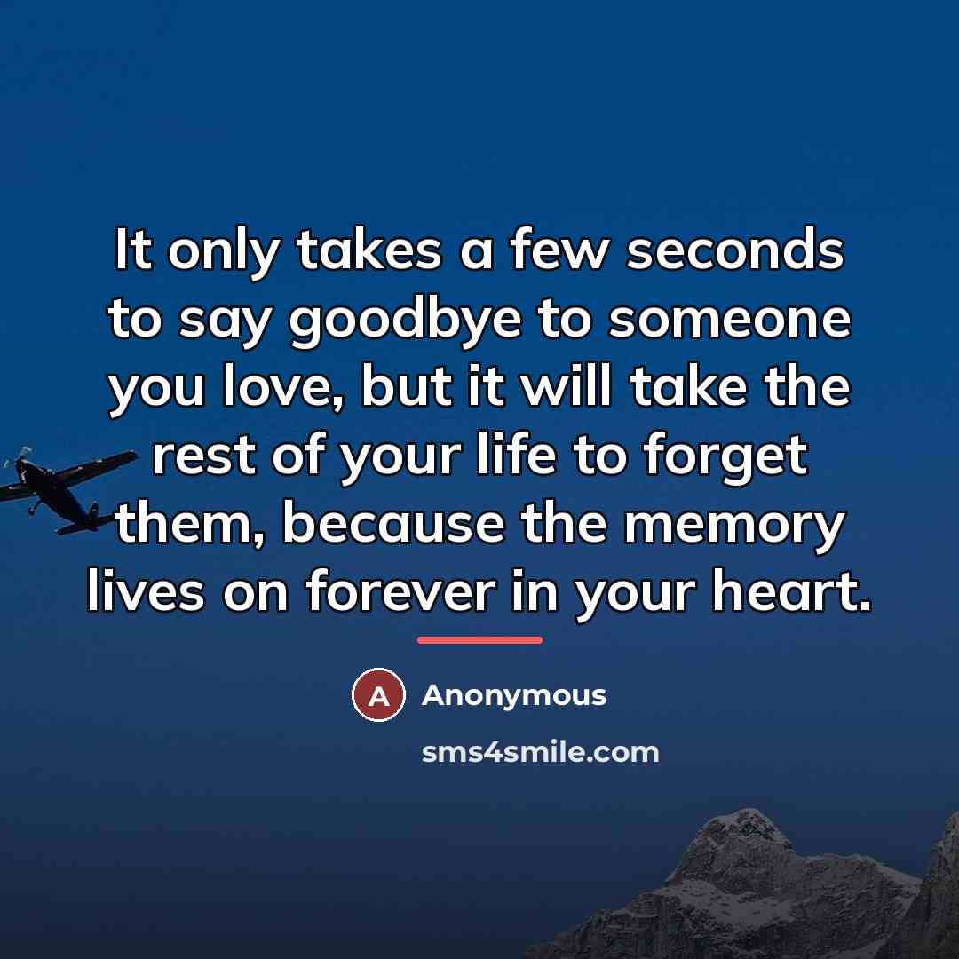 “It only takes a few seconds to say goodbye to…” quote by Anonymous