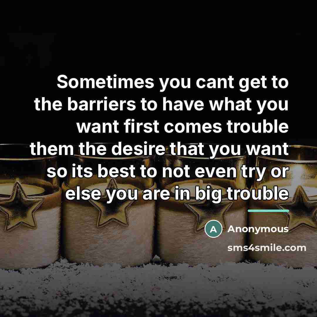 “Sometimes you cant get to the barriers to have what…” quote by Anonymous