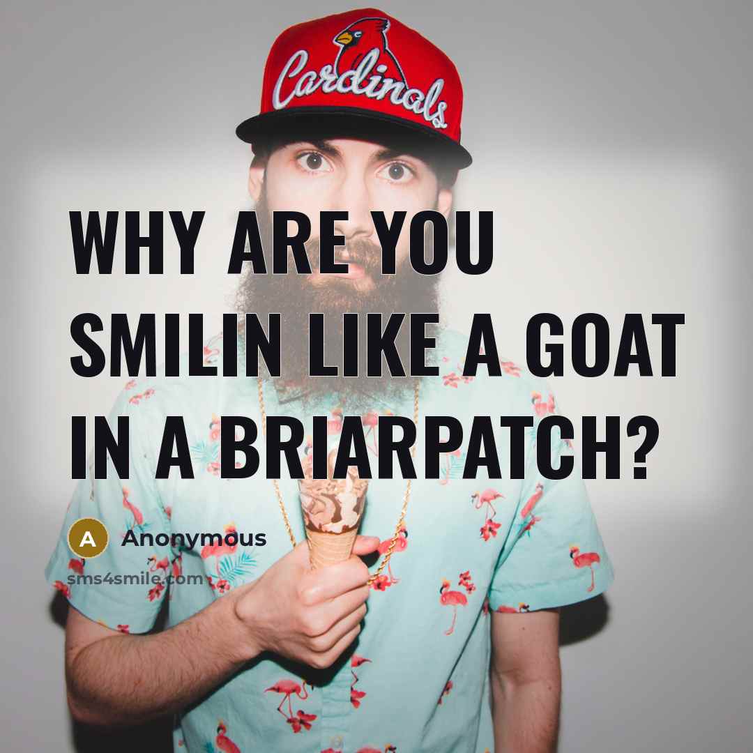 “Why are you smilin like a goat in a briarpatch?…” quote by Anonymous