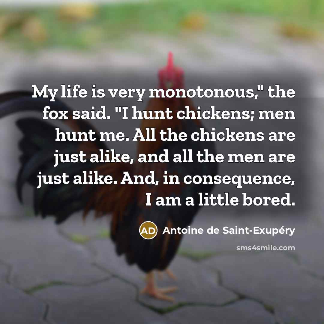 “My life is very monotonous," the fox said. "I hunt…” quote by Antoine de Saint-Exupery
