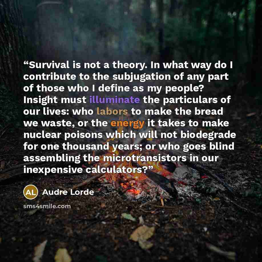 “Survival is not a theory. In what way do I contribute to the subjugation of any part of those who I define as my people? Insight must illuminate the particulars of our lives: who labors to make the bread we waste, or the energy it takes to make nuclear poisons which will not biodegrade for one…” quote by Audre Lorde