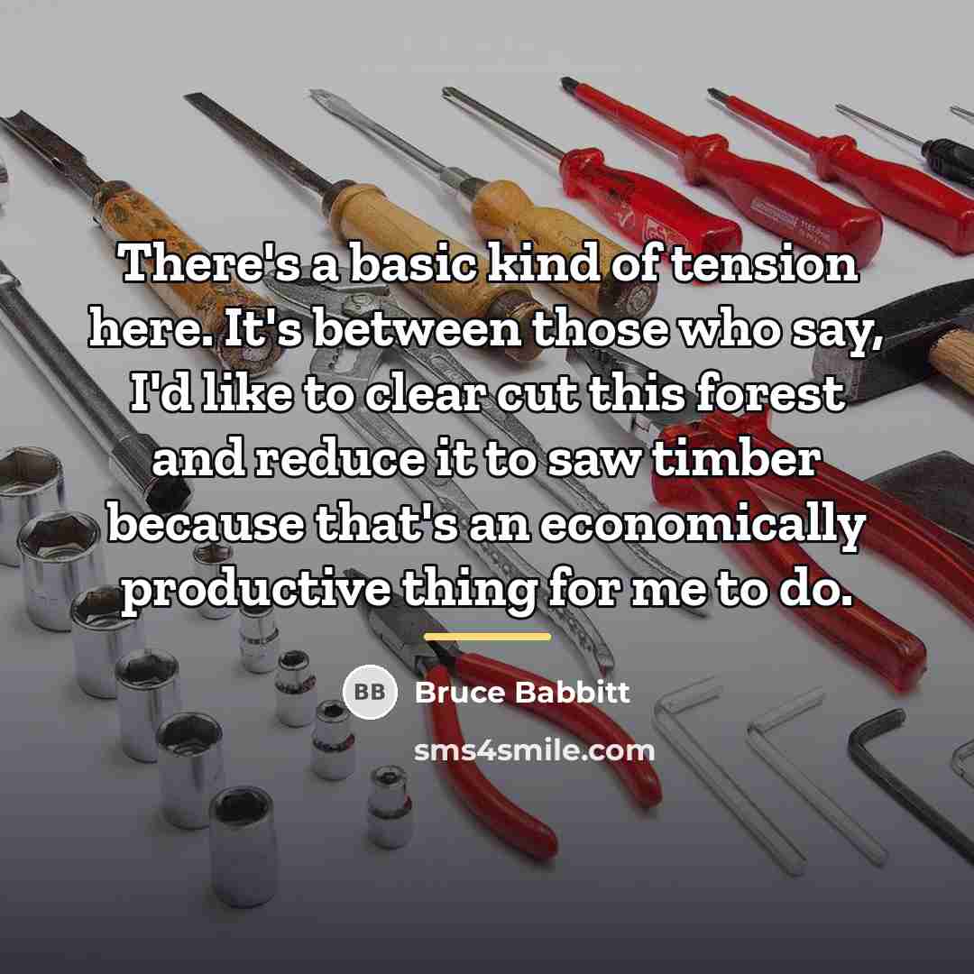 “There's a basic kind of tension here. It's between those…” quote by Bruce Babbitt