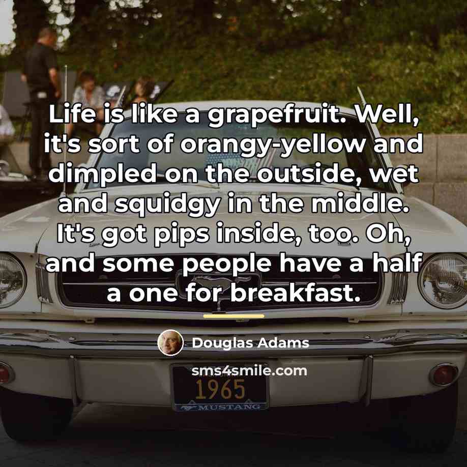 “Life is like a grapefruit. Well, it's sort of orangy-yellow…” quote by Douglas Adams