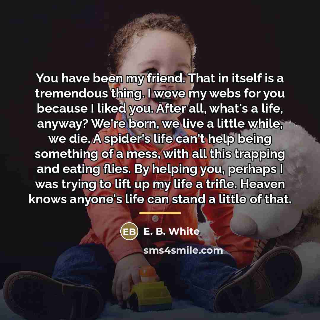 “You have been my friend. That in itself is a…” quote by E. B. White