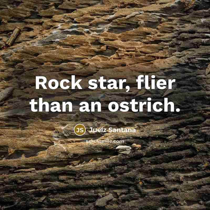 “Rock star, flier than an ostrich.…” quote by Juelz Santana
