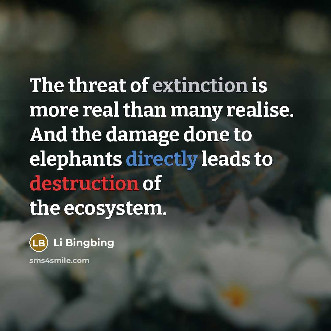 “The threat of extinction is more real than many realise. And the damage done to elephants directly leads to destruction of the ecosystem.” quote by Li Bingbing