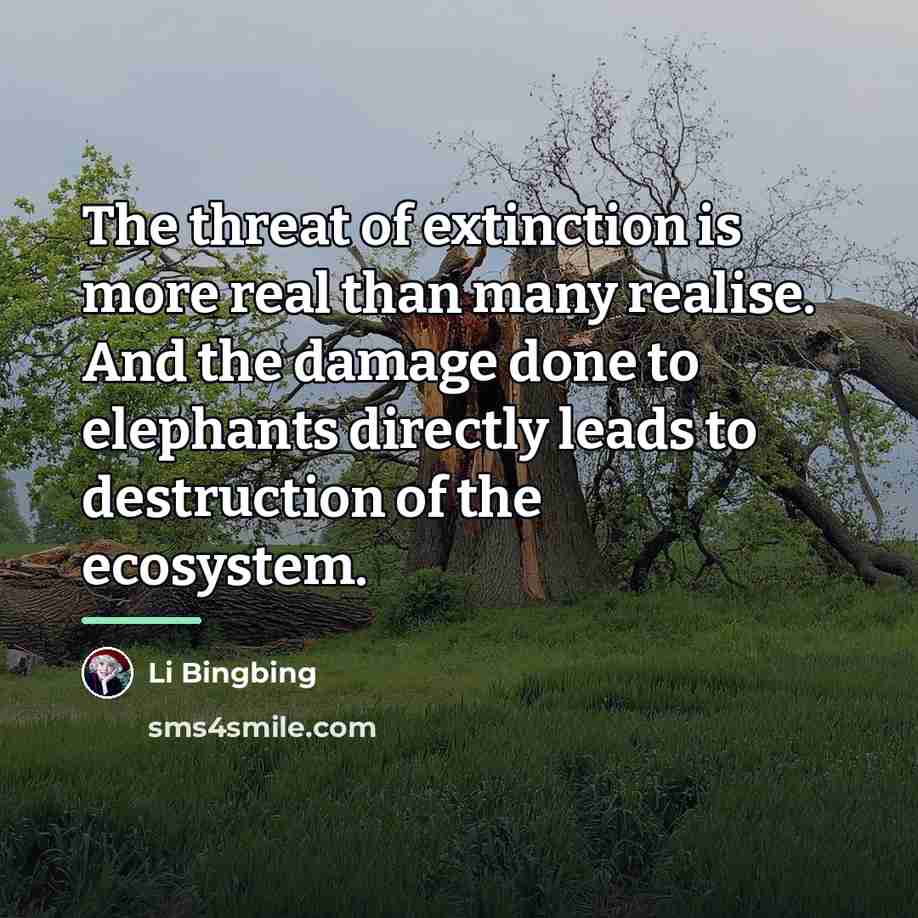 “The threat of extinction is more real than many realise.…” quote by Li Bingbing