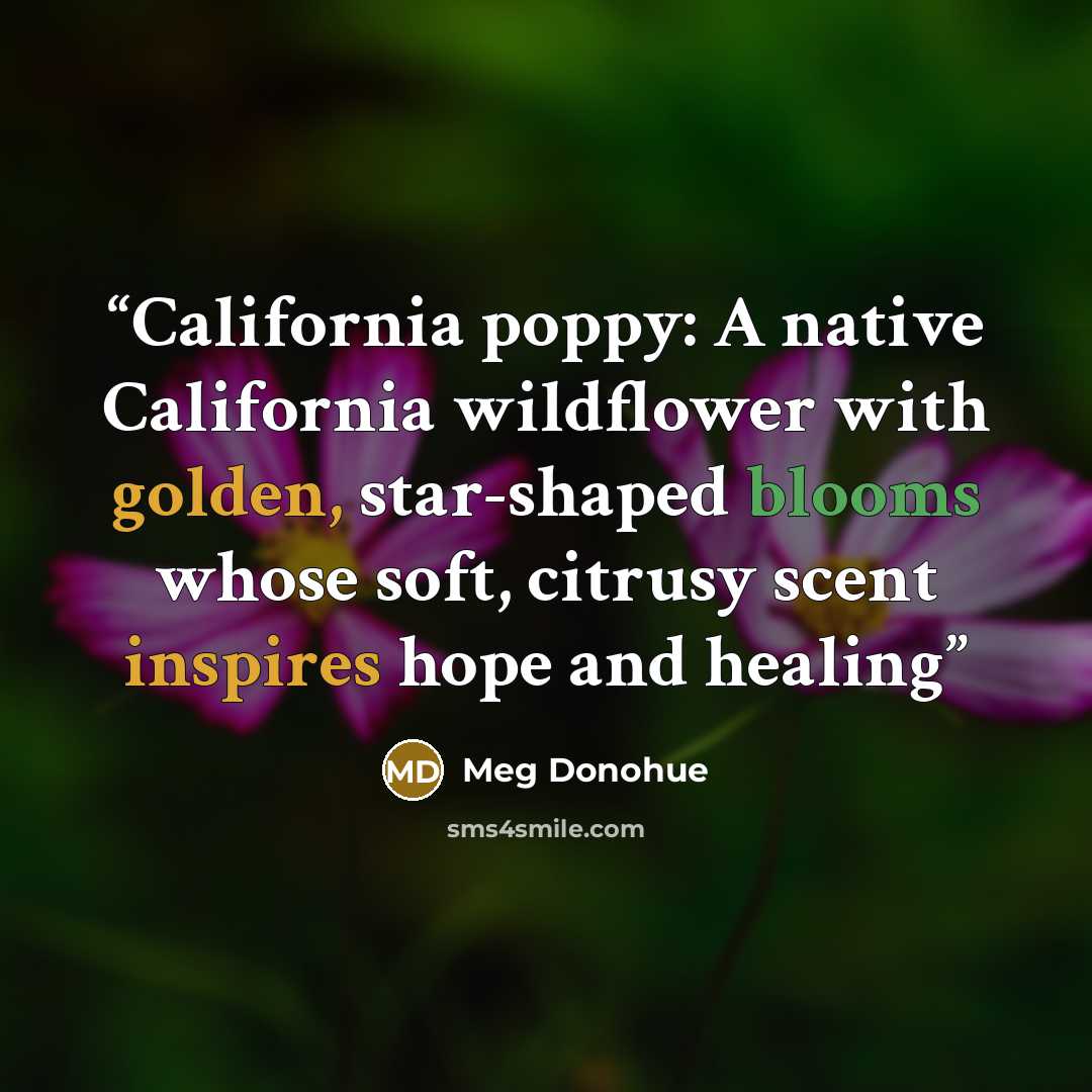 “California poppy: A native California wildflower with golden, star-shaped blooms whose soft, citrusy scent inspires hope and healing” quote by Meg Donohue
