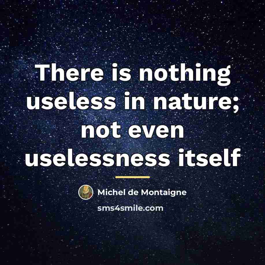 “There is nothing useless in nature; not even uselessness itself…” quote by Michel de Montaigne