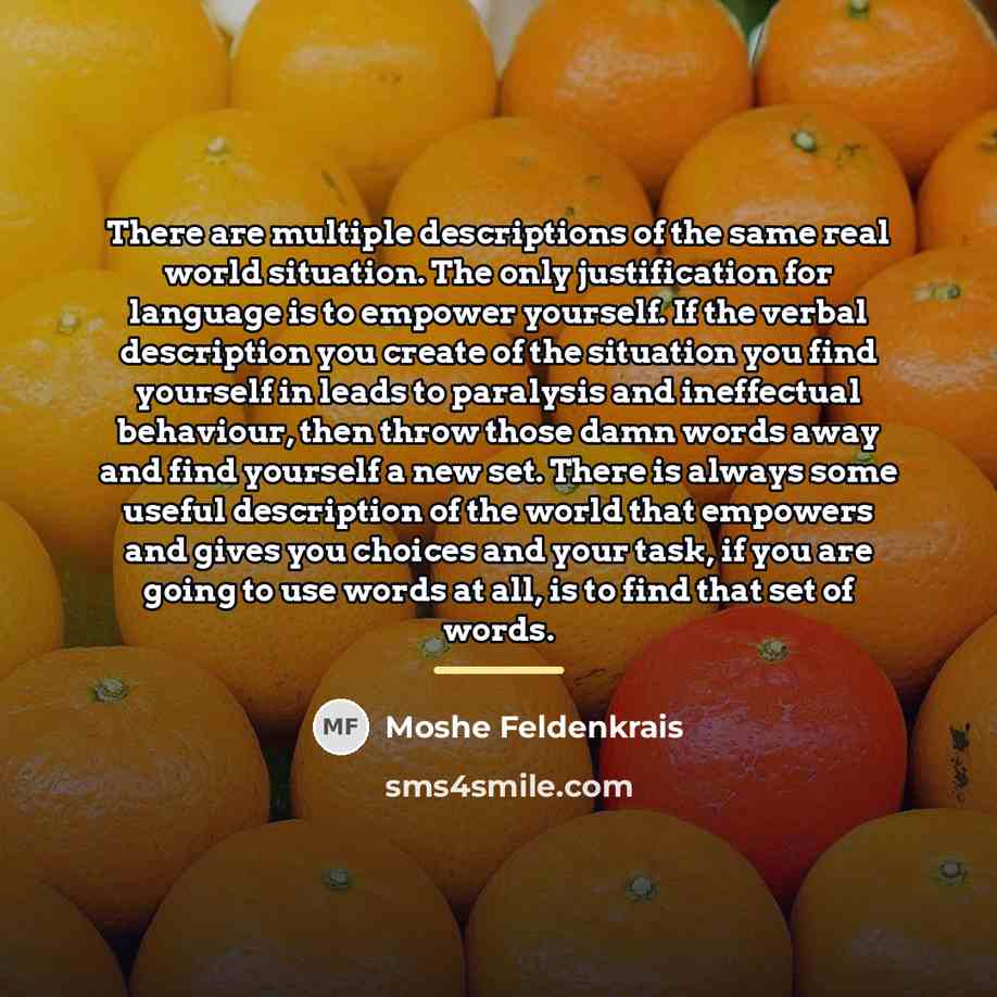 “There are multiple descriptions of the same real world situation.…” quote by Moshe Feldenkrais