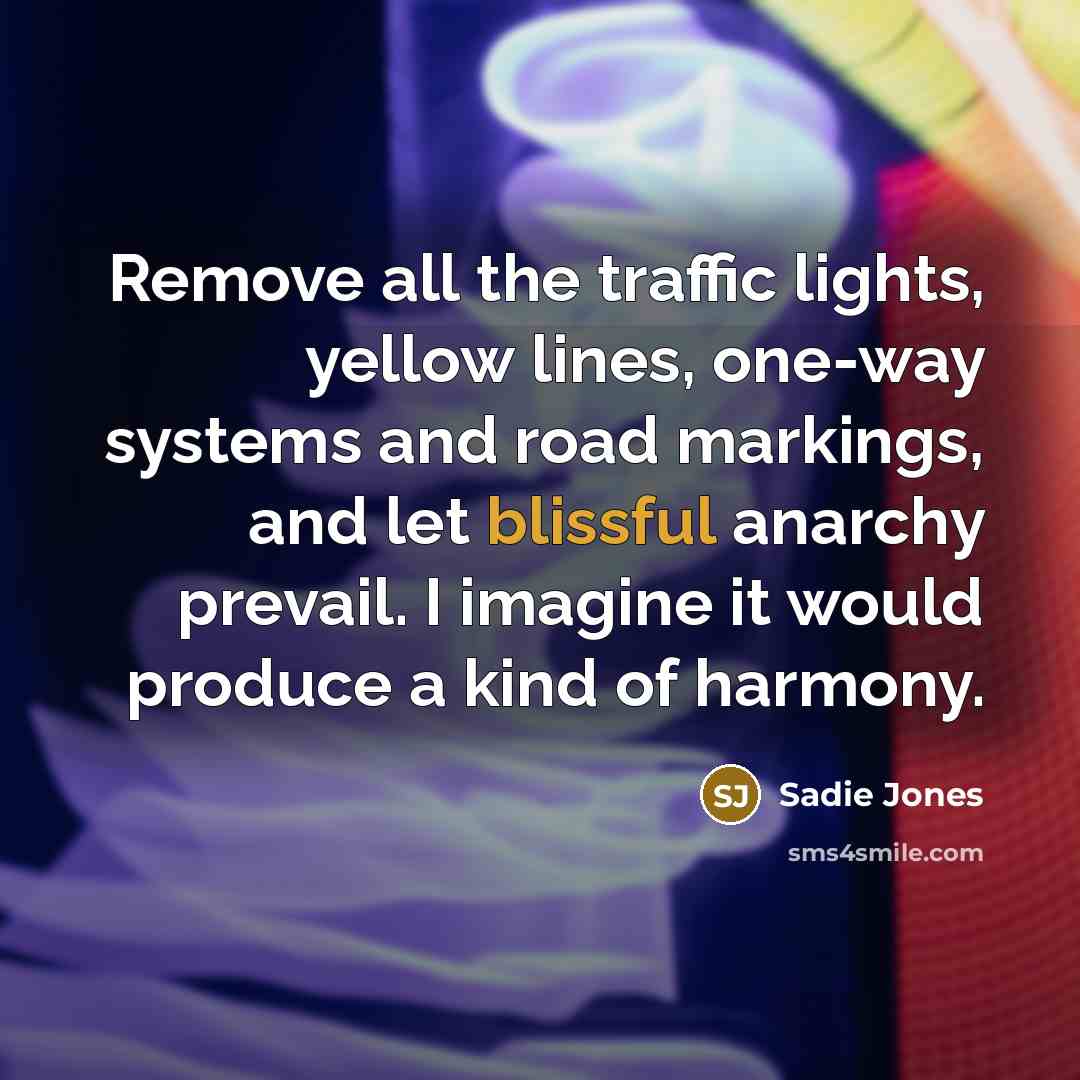 “Remove all the traffic lights, yellow lines, one-way systems and…” quote by Sadie Jones