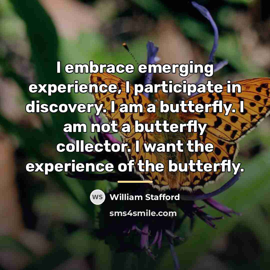 “I embrace emerging experience, I participate in discovery. I am…” quote by William Stafford