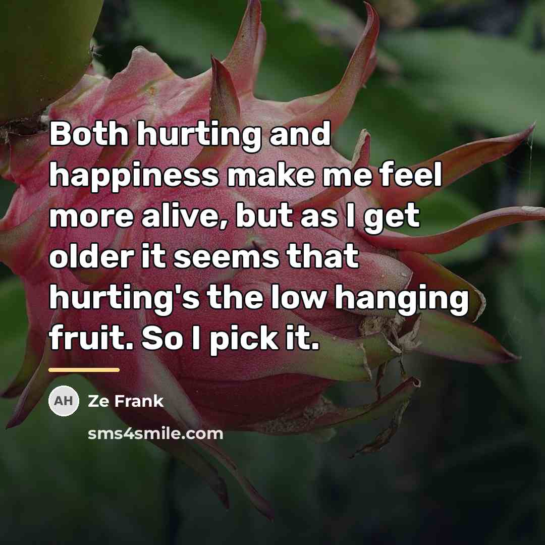“Both hurting and happiness make me feel more alive, but…” quote by Ze Frank