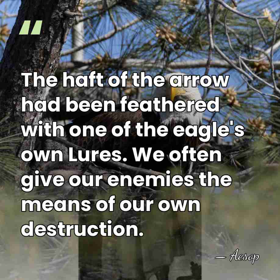 The haft of the arrow had been feathered with one of the&hellip; - Aesop
