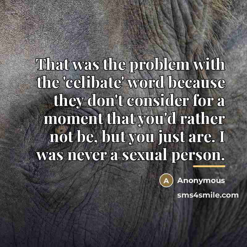 “That was the problem with the 'celibate' word because they…” quote by Anonymous