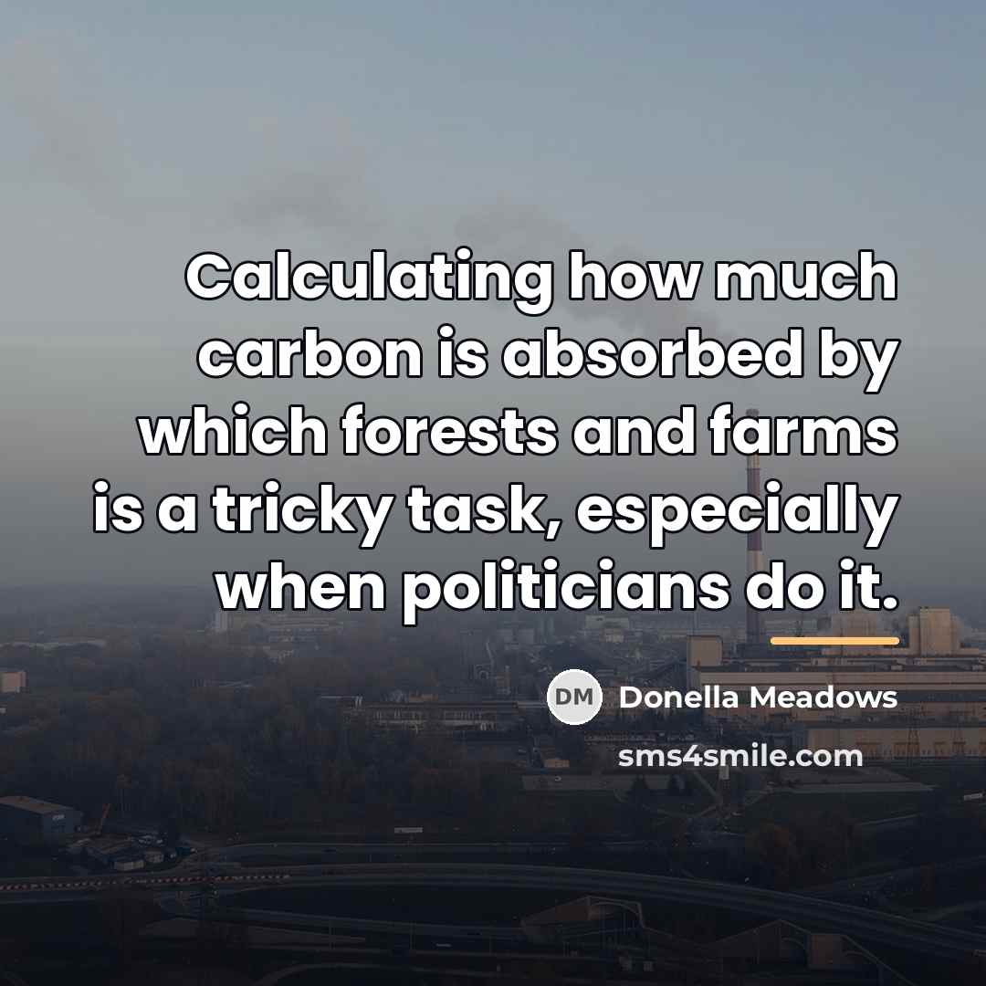 “Calculating how much carbon is absorbed by which forests and…” quote by Donella Meadows