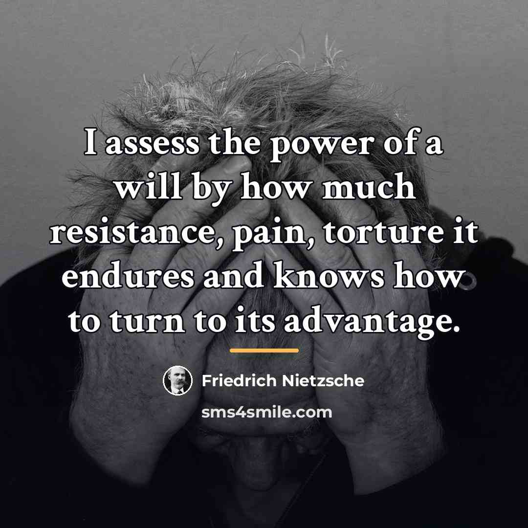 “I assess the power of a will by how much…” quote by Friedrich Nietzsche