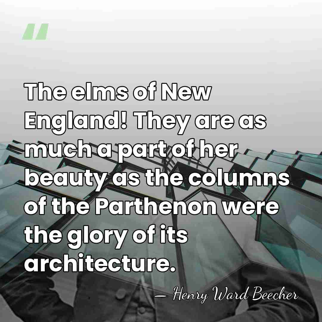 The elms of New England! They are as much a part of&hellip; - Henry Ward Beecher