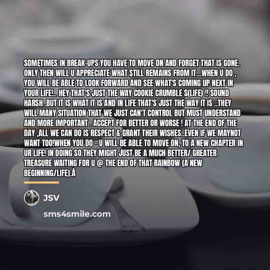 “Sometimes in break-ups you have to move on and forget…” quote by JSV