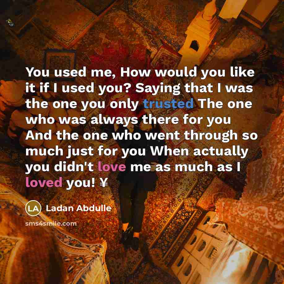 “You used me, How would you like it if I used you? Saying that I was the one you only trusted The one who was always there for you And the one who went through so much just for you When actually you didn't love me as much as I loved you! ¥” quote by Ladan Abdulle