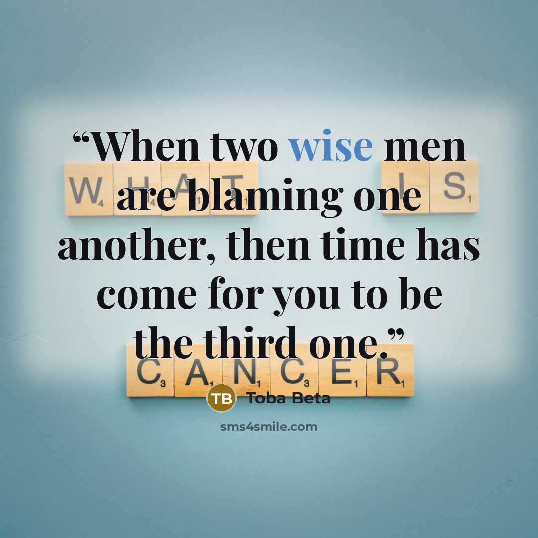 “When two wise men are blaming one another, then time has come for you to be the third one.” quote by Toba Beta