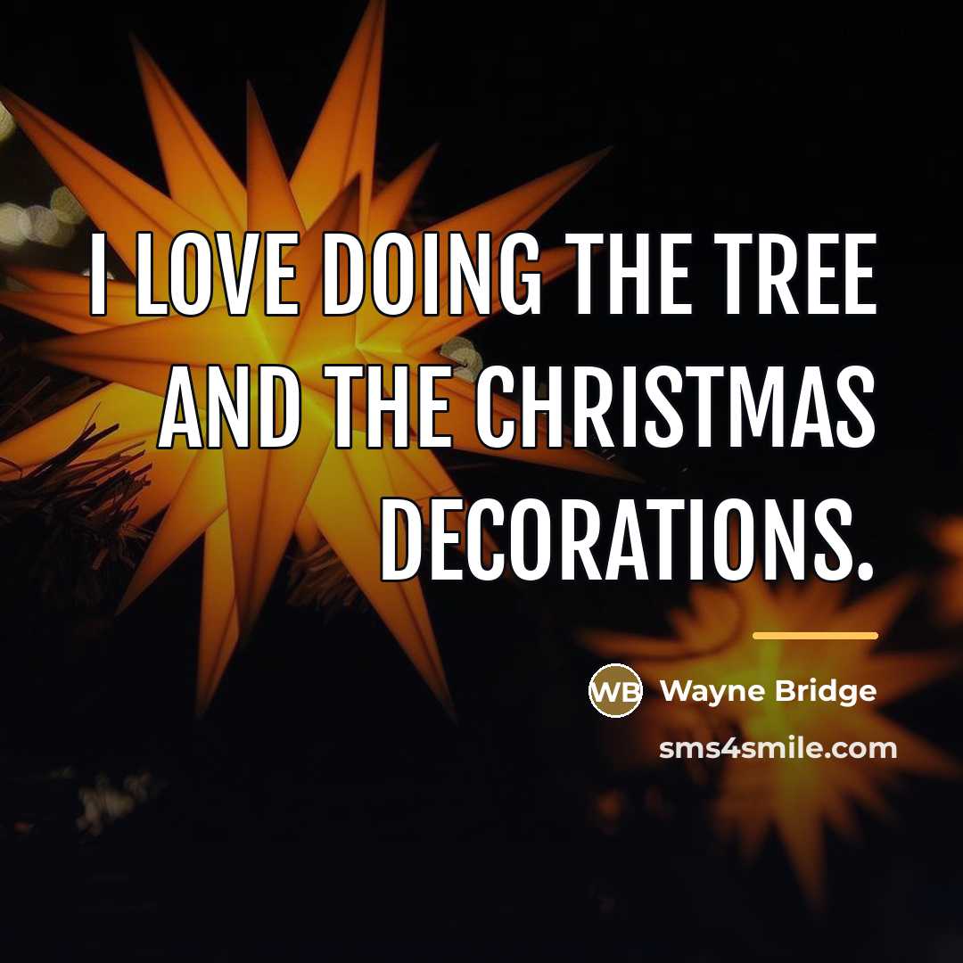 “I love doing the tree and the Christmas decorations.…” quote by Wayne Bridge
