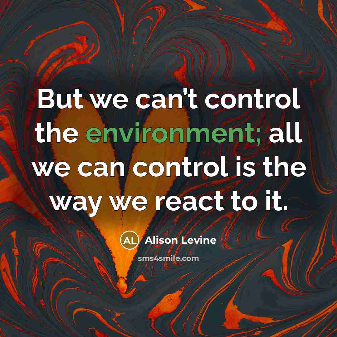“But we can’t control the environment; all we can control is the way we react to it.” quote by Alison Levine