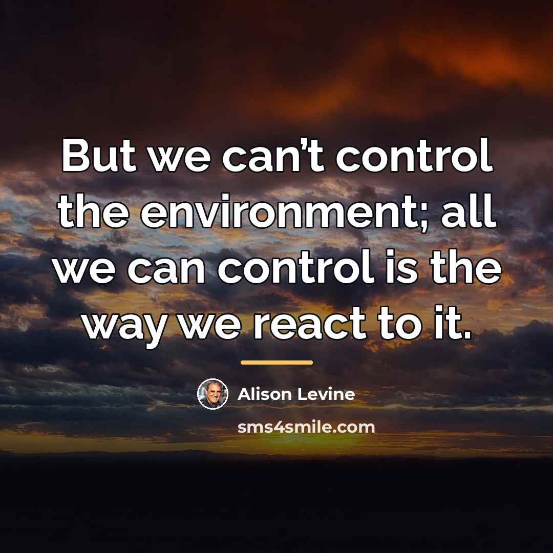 “But we can’t control the environment; all we can control…” quote by Alison Levine