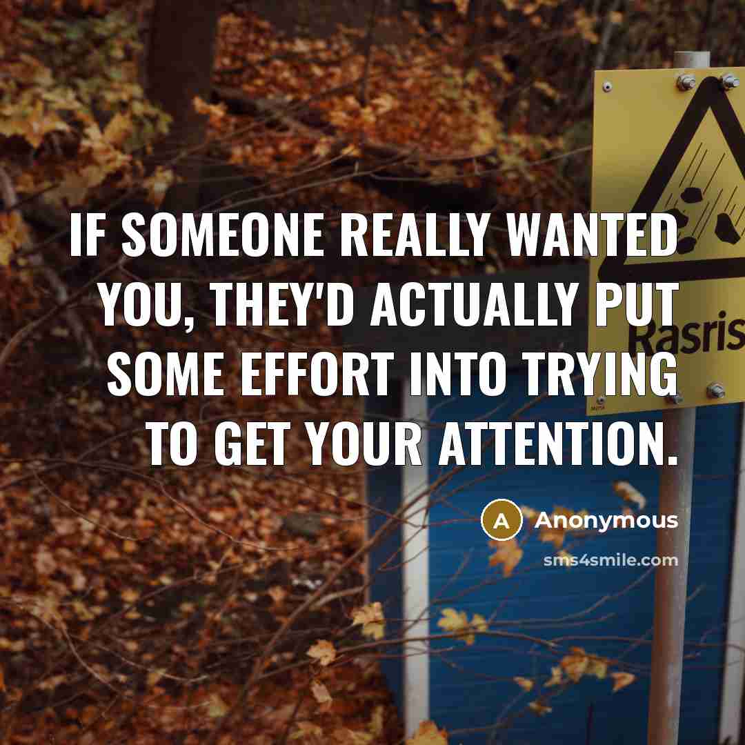 “If someone really wanted you, they'd actually put some effort into trying to get your attention.” quote by Anonymous
