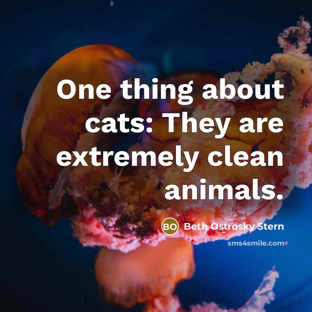 “One thing about cats: They are extremely clean animals.…” quote by Beth Ostrosky Stern