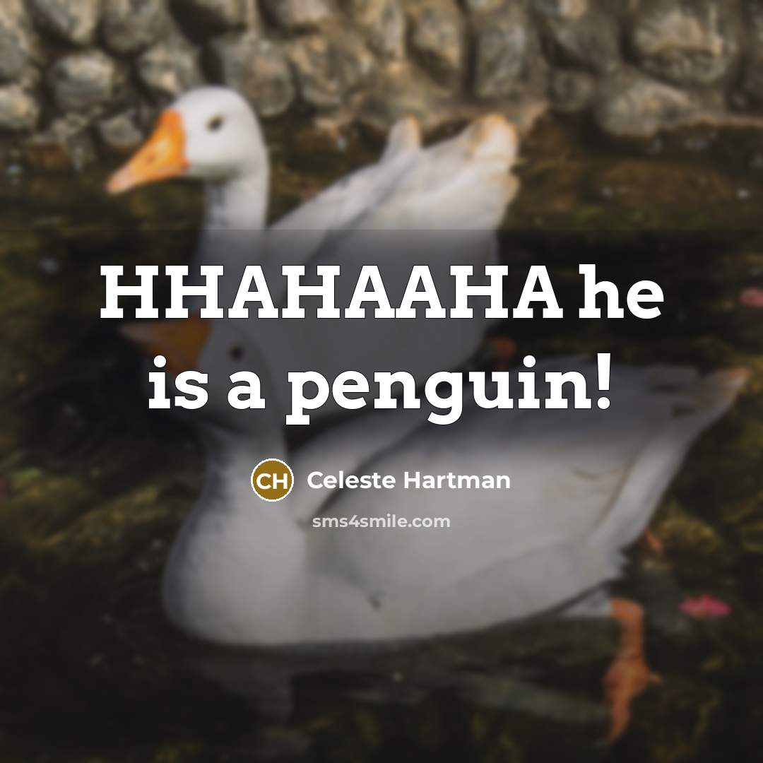 “HHAHAAHA he is a penguin!…” quote by Celeste Hartman