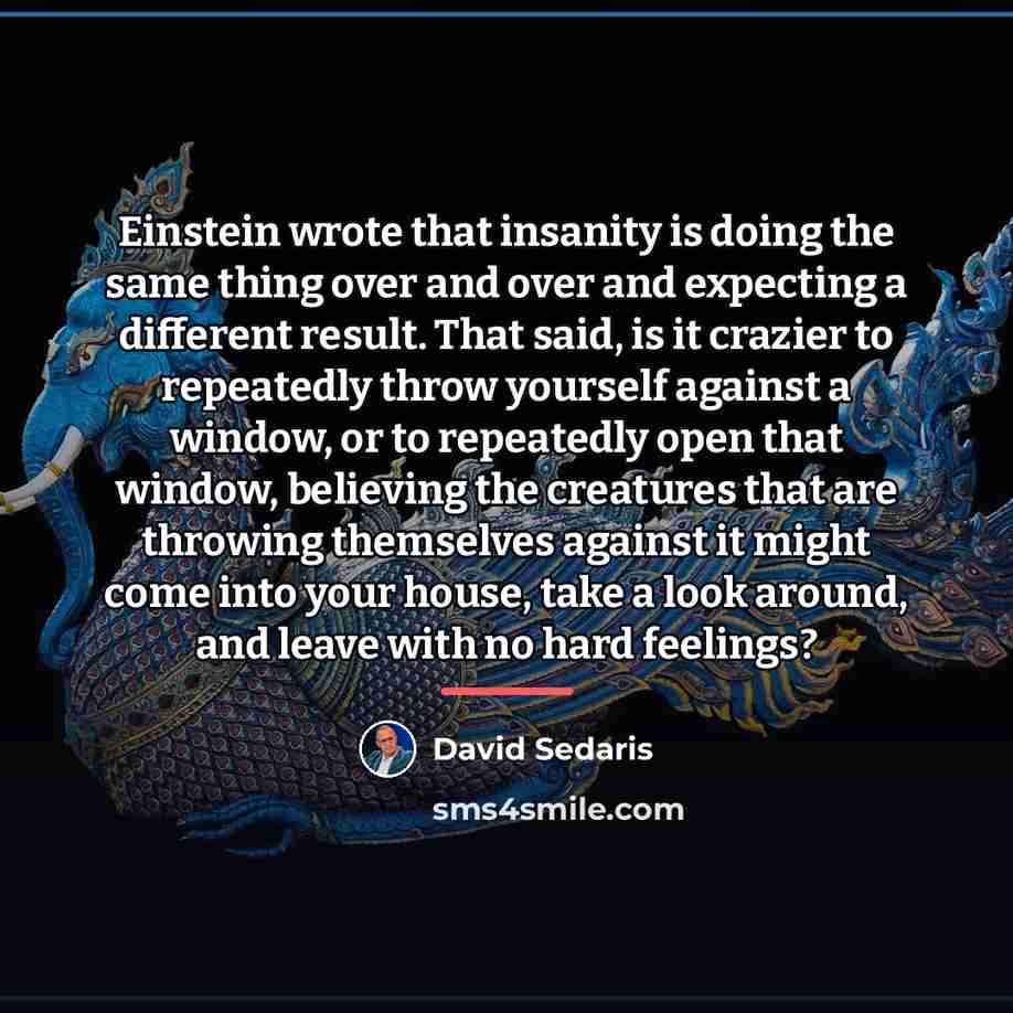 “Einstein wrote that insanity is doing the same thing over…” quote by David Sedaris