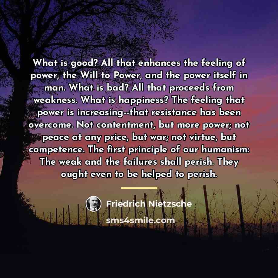 “What is good? All that enhances the feeling of power,…” quote by Friedrich Nietzsche