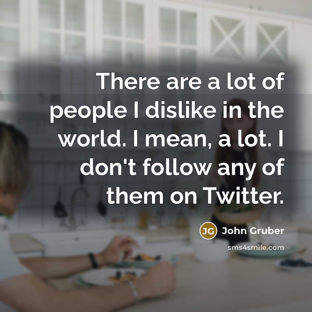 “There are a lot of people I dislike in the…” quote by John Gruber