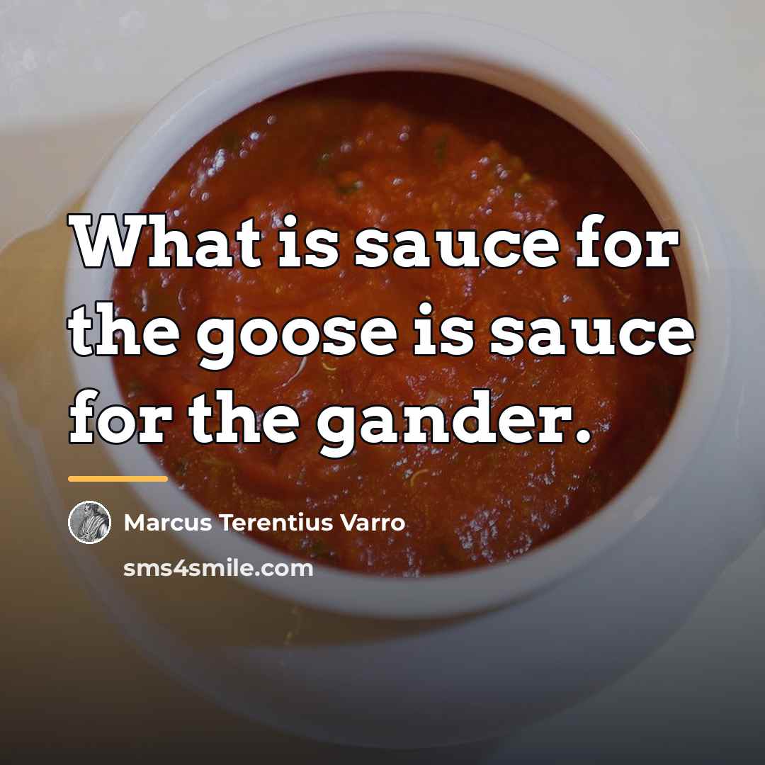 “What is sauce for the goose is sauce for the…” quote by Marcus Terentius Varro