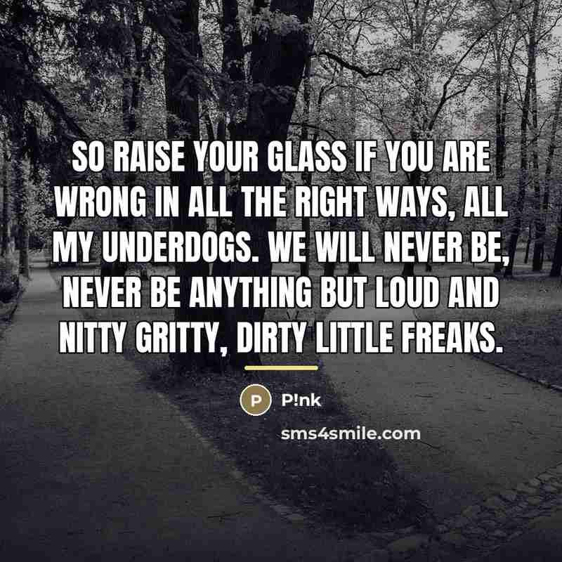 “So raise your glass if you are wrong In all…” quote by P!nk