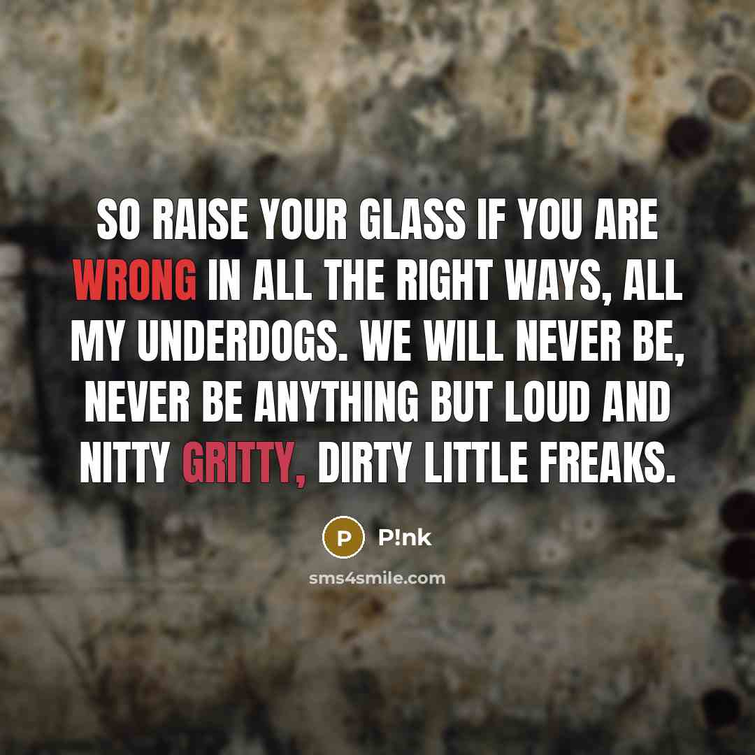 “So raise your glass if you are wrong In all the right ways, all my underdogs. We will never be, never be anything but loud and nitty gritty, dirty little freaks.” quote by P!nk