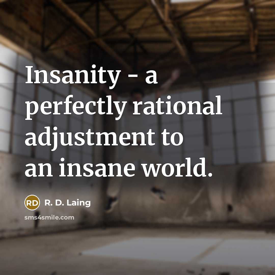 “Insanity - a perfectly rational adjustment to an insane world.…” quote by R. D. Laing