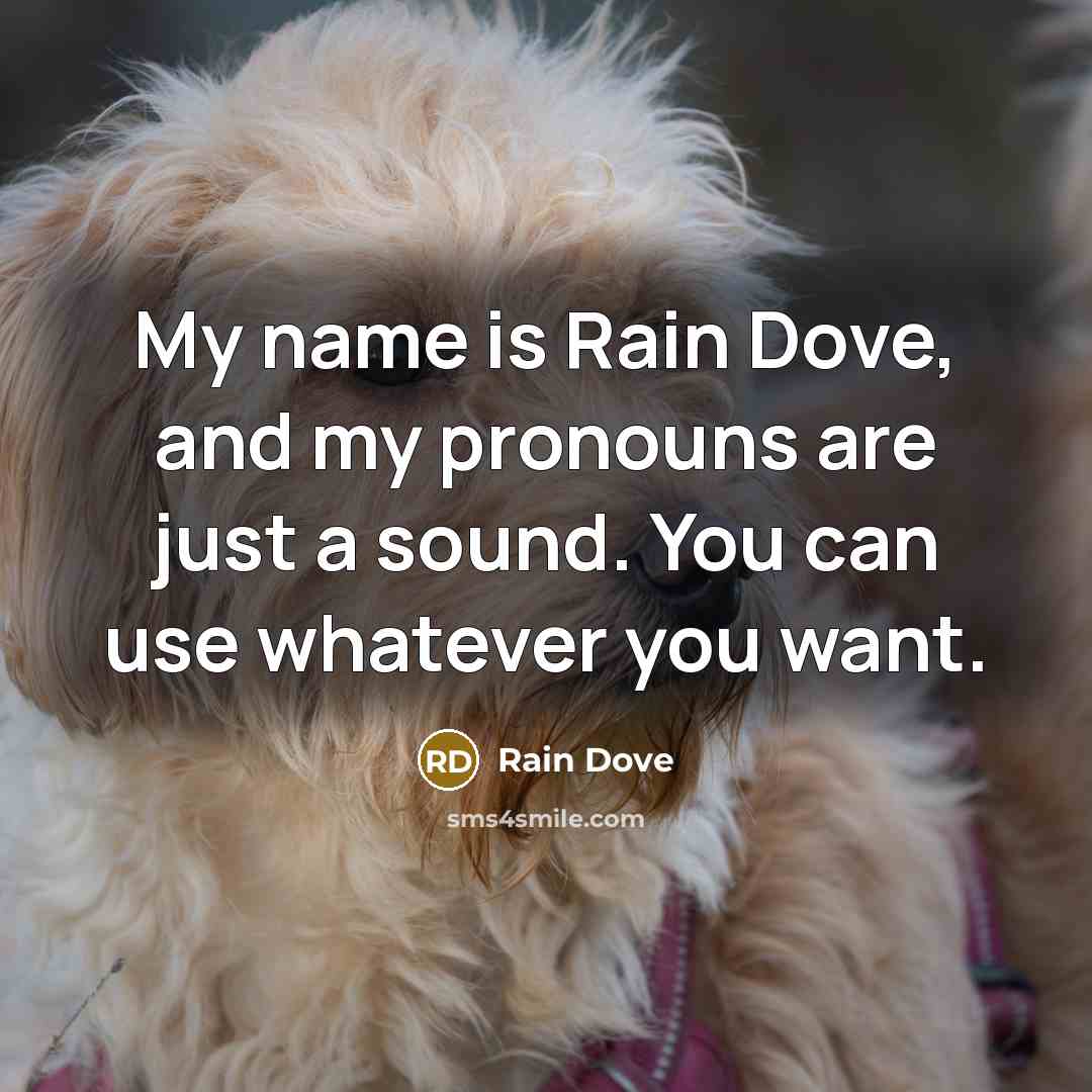 “My name is Rain Dove, and my pronouns are just…” quote by Rain Dove