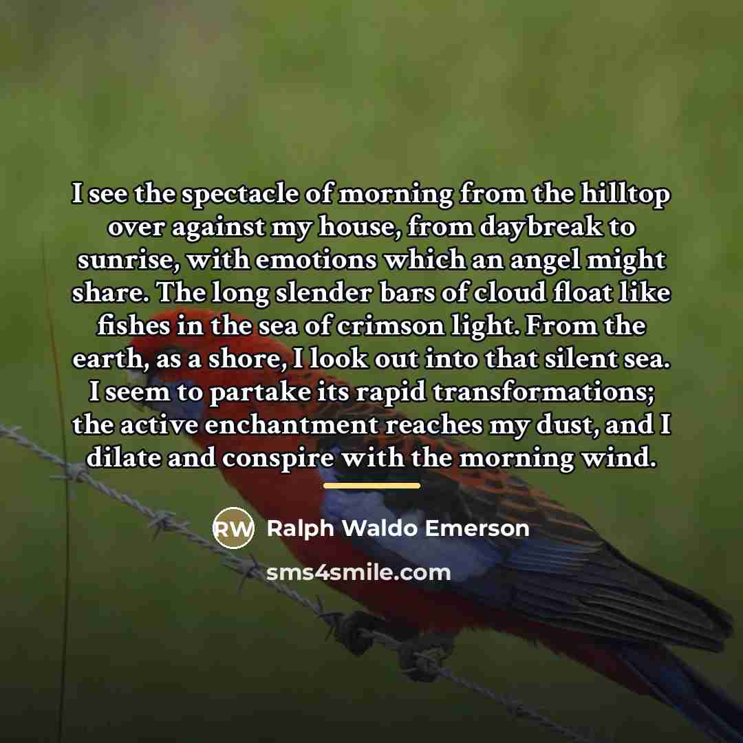 “I see the spectacle of morning from the hilltop over…” quote by Ralph Waldo Emerson