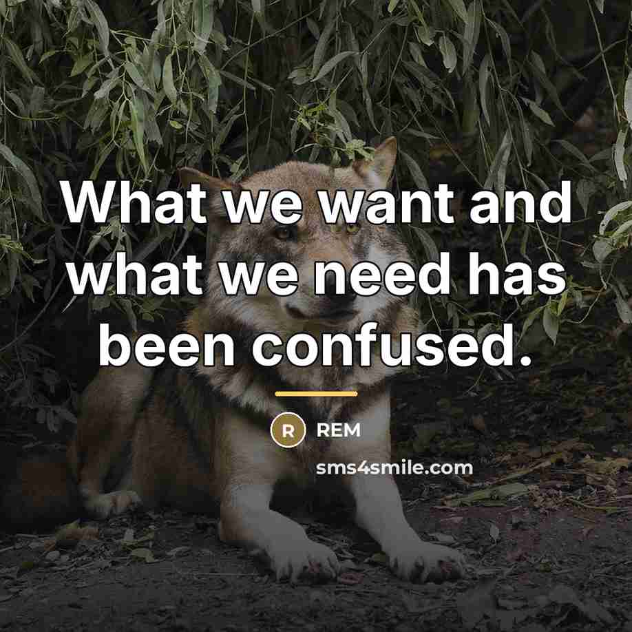 “What we want and what we need has been confused.…” quote by REM