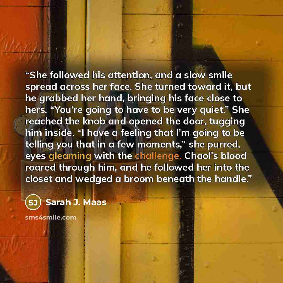 “She followed his attention, and a slow smile spread across her face. She turned toward it, but he grabbed her hand, bringing his face close to hers. “You’re going to have to be very quiet.” She reached the knob and opened the door, tugging him inside. “I have a feeling that I’m going to be telling…” quote by Sarah J. Maas