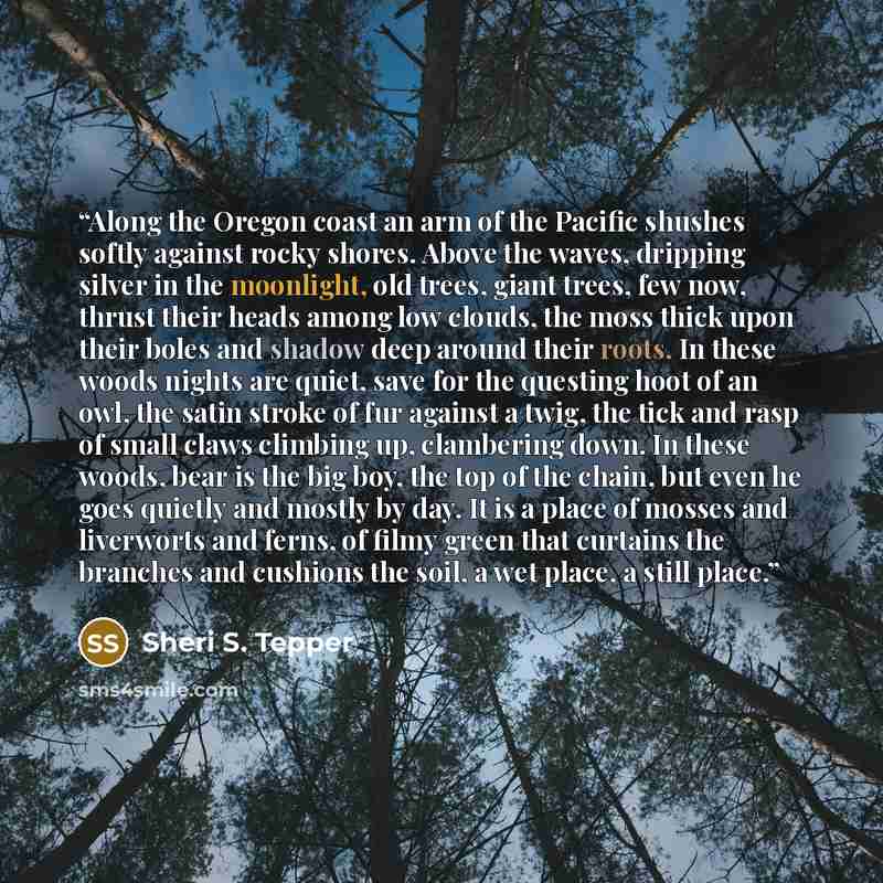 “Along the Oregon coast an arm of the Pacific shushes softly against rocky shores. Above the waves, dripping silver in the moonlight, old trees, giant trees, few now, thrust their heads among low clouds, the moss thick upon their boles and shadow deep around their roots. In these woods nights are…” quote by Sheri S. Tepper