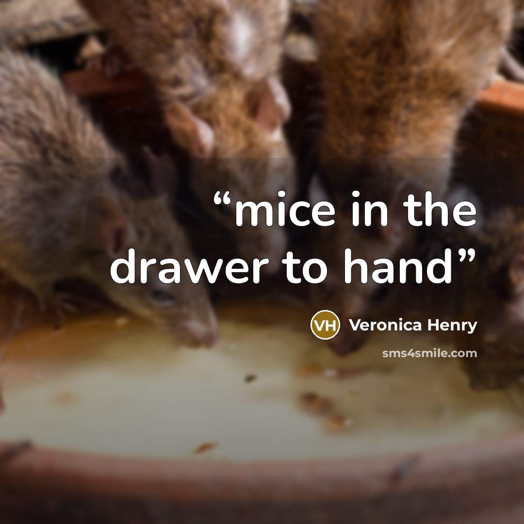 “mice in the drawer to hand” quote by Veronica Henry