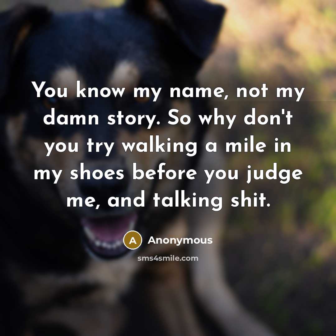 “You know my name, not my damn story. So why don't you try walking a mile in my shoes before you judge me, and talking shit.” quote by Anonymous