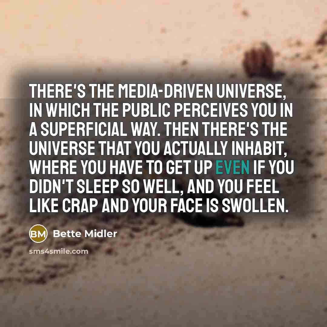 “There's the media-driven universe, in which the public perceives you…” quote by Bette Midler