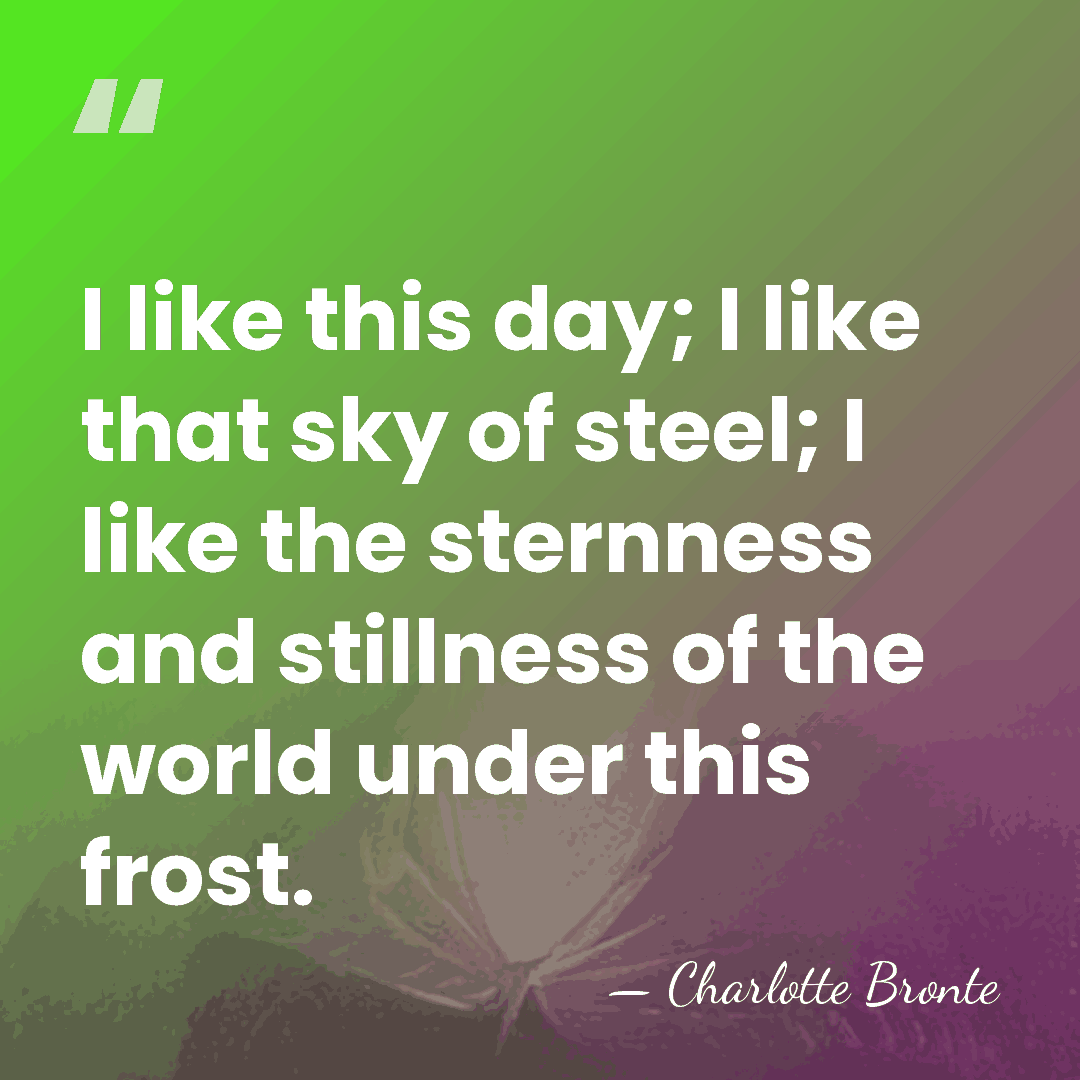 I like this day; I like that sky of steel; I like&hellip; - Charlotte Bronte