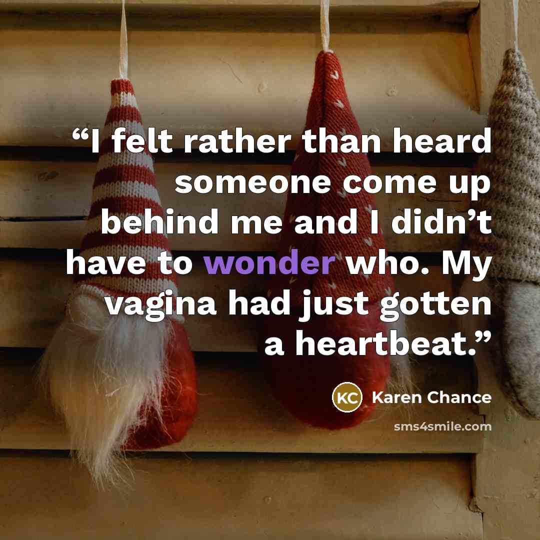 “I felt rather than heard someone come up behind me and I didn’t have to wonder who. My vagina had just gotten a heartbeat.” quote by Karen Chance