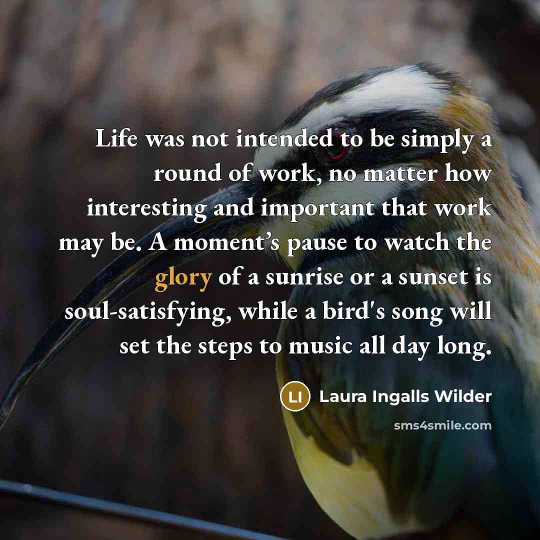 “Life was not intended to be simply a round of…” quote by Laura Ingalls Wilder