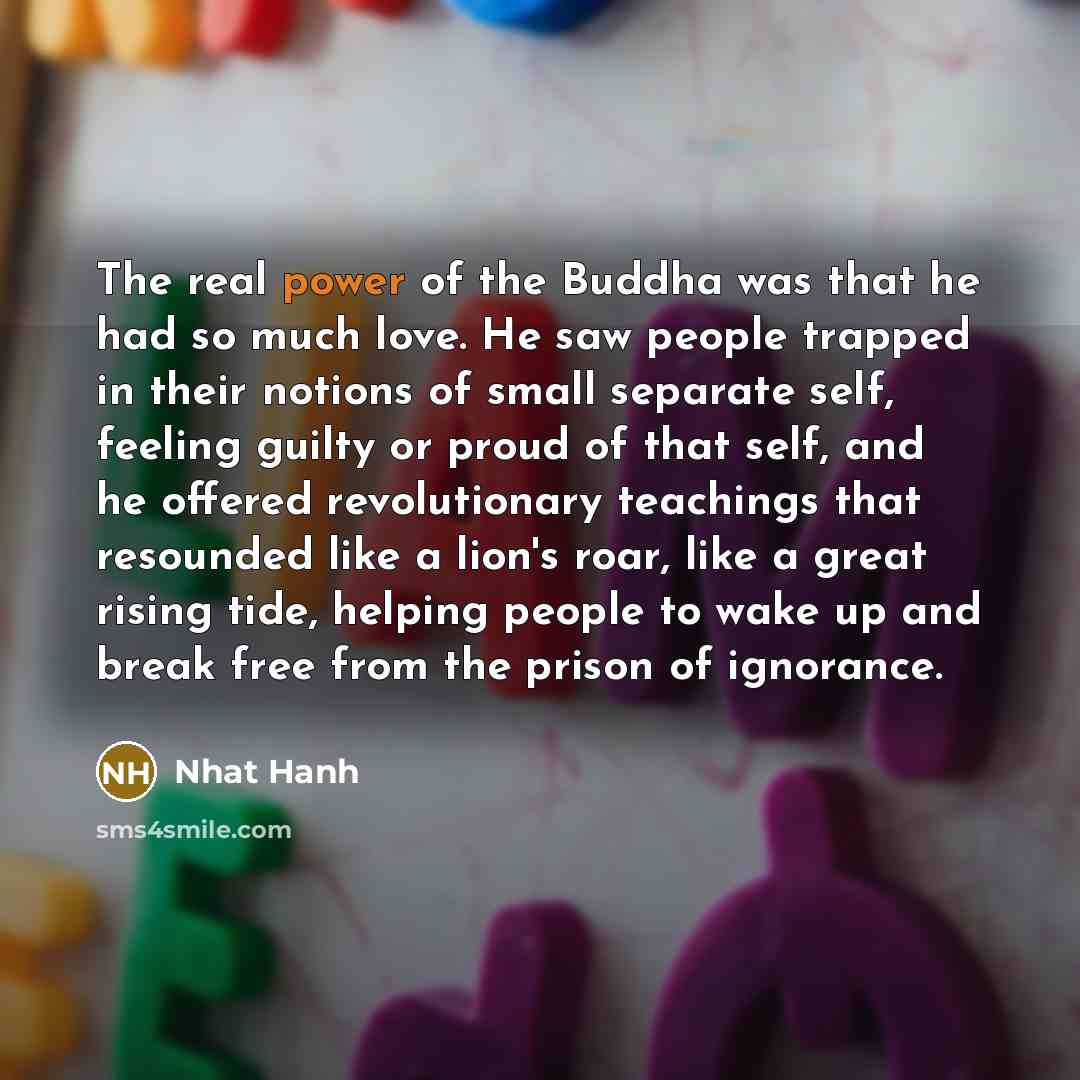 “The real power of the Buddha was that he had…” quote by Nhat Hanh